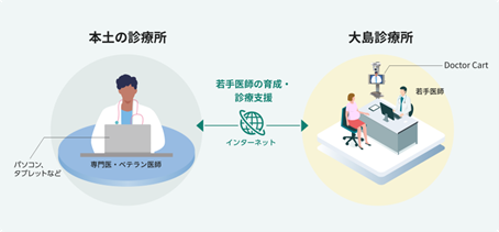 「D to P with D（患者が医師といる場合のオンライン診療）」 形式での「Doctor Cart」の活用イメージ図