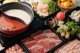 あべのハルカス ぽかぽか展望台!『かこむ de こたつ』