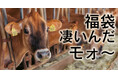 「飛騨で唯一の牛乳屋が年間2万件を突破！」地域密着の乳業が全国ファンをつかんだ“年中売れる福袋”とは