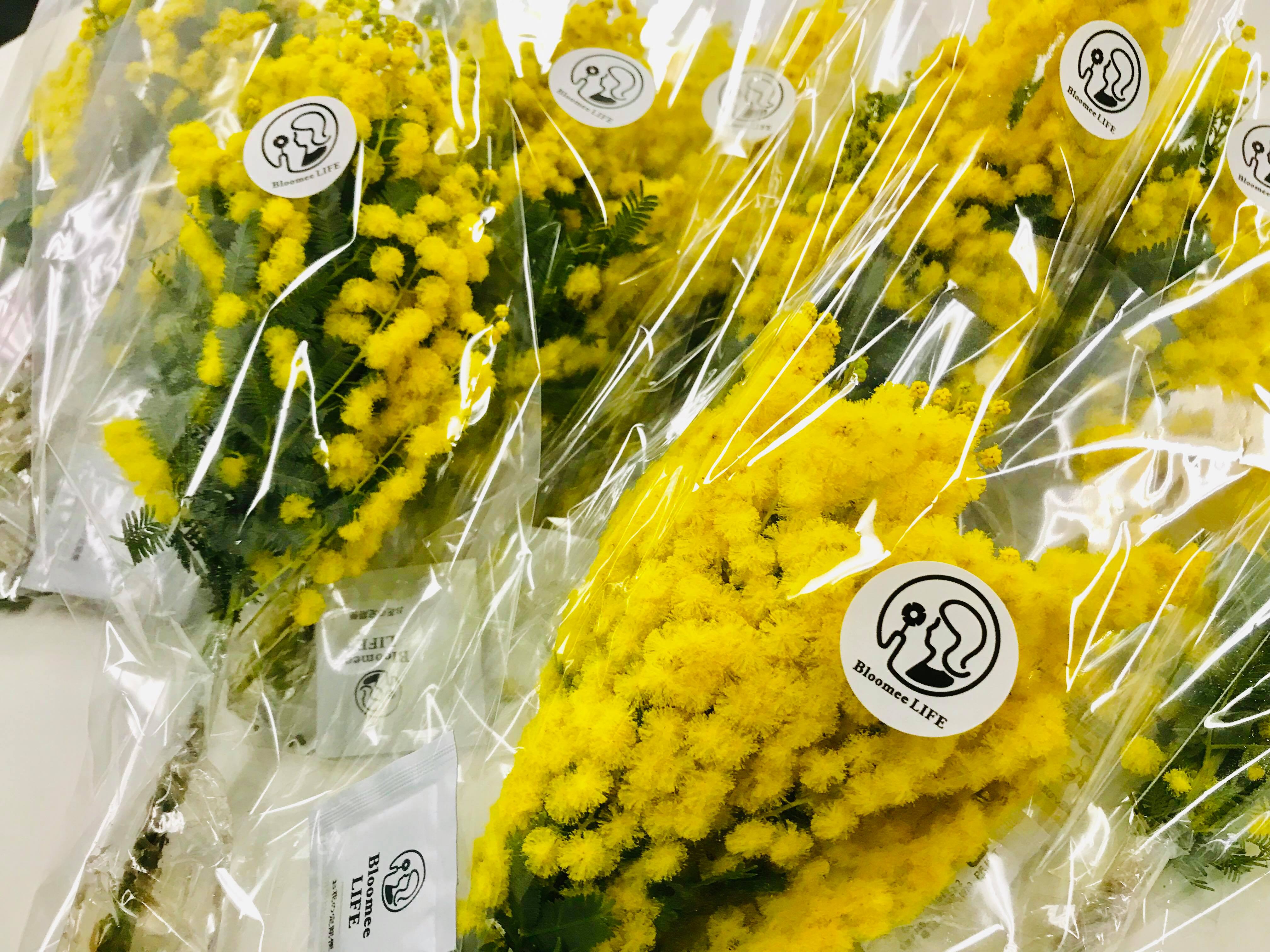 Lib 女性の自分らしい活躍を応援 国際女性デーにちなみ 賛同企業と共に ミモザの花贈呈企画 を実施 株式会社libのプレスリリース