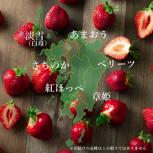 定期便　九州いちごの旅　品種