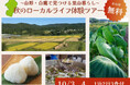 【山形・置賜】秋のローカルライフ体験ツアー 〜山形・白鷹で見つける里山暮らし〜
