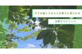 【山形・小国町】ブナの森とクロモジの香りに癒される日帰りリトリートを開催
