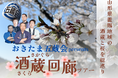 山形県置賜地域の桜と酒蔵を1日で巡るプレミアムツアー「おきたま酒蔵（さくら）回廊」4/18に開催！