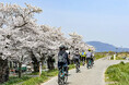 【山形・置賜】『置賜さくら回廊』をE-bikeで快走！ガイドと行く桜巡りサイクリングツアー【レンタサイクル付き】