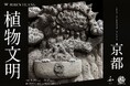 京都のギャラリーカフェ「藝術喫茶いとゆふ」にて、台湾の陶芸家 ROBIN HUANG 個展『植物文明 ― 京都』を開催