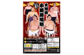 【神奈川県小田原市】7年ぶりに大相撲小田原場所が開催されます!
