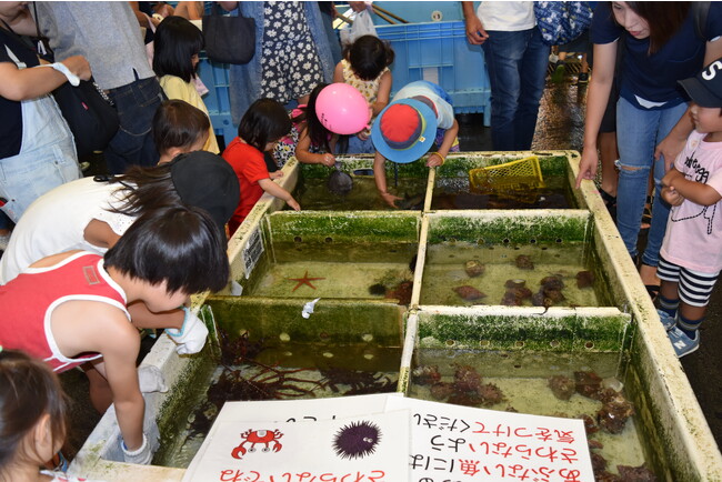 ▲さわる水族館の様子