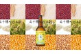 「世界農業遺産の地・高千穂発!生産者の想いが詰まったクラフトビール誕生―高千穂の『五穀と水』が織りなす新商品の物語」