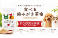 犬・猫の"ごはんにかけるだけ"デンタルケア「食べる歯磨き革命」、累計販売110,000袋を突破(2026年7月集計)の報告
