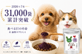 犬・猫の"ごはんにかけるだけ"瞳ケア「食べる目の革命」、累計販売31,000袋を突破(2026年7月集計)
