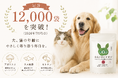 犬・猫の"ごはんにかけるだけ"シニアケア「みらいのヒトサジ」、累計販売12,000袋を突破(2026年7月集計)