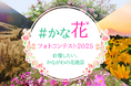 「#かな花フォトコンテスト2025 ~自慢したい、かながわの花絶景~」を開催します!
