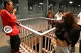 「下水道ふれあいまつり」を開催します