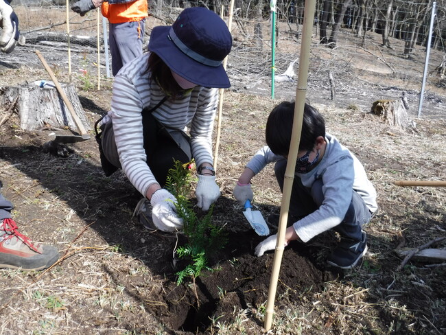 植樹の様子