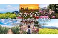 「#かな花フォトコンテスト2024」入賞作品が決定しました!