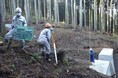 神奈川県職員採用選考(農政技術(森林)【経験者】)の受験申込を受け付けています!