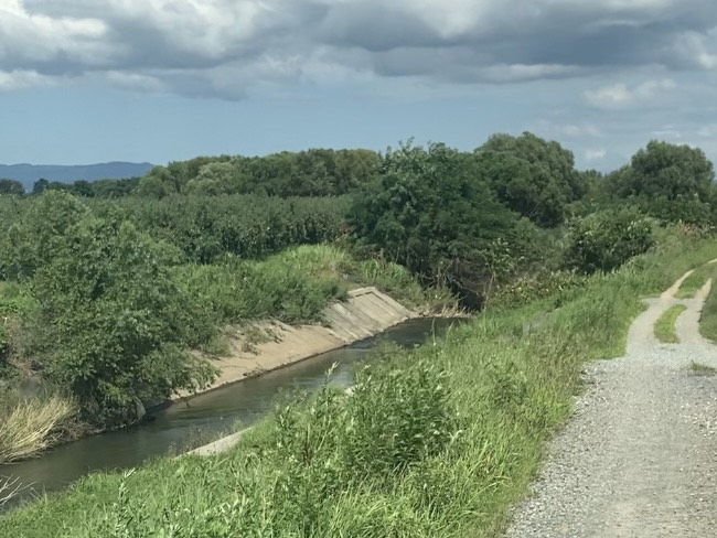 普段の河川
