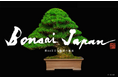 日本最大級の盆栽イベント『第44回日本盆栽大観展 BONSAI JAPAN』京都で開催! 初のデモンストレーションや解説ツアーに加え、カフェスペースやオリジナル盆栽鉢の展示販売など新企画も充実