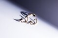 ジュエリーブランドHirotakaより、自然の奇跡を耳元に宿す新作「TREEHOPPER / ツリーホッパー」イヤーカフが登場