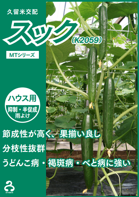 新作人気モデル 野菜の種 種子 OS交配 RK-3 きゅうり台木南瓜 350粒 メール便発送 大袋