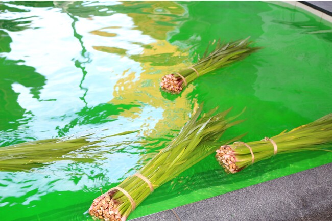 極楽湯、5月5日「こどもの日」に開催店舗合計で約13,000本の菖蒲を投入する『菖蒲湯』を実施！