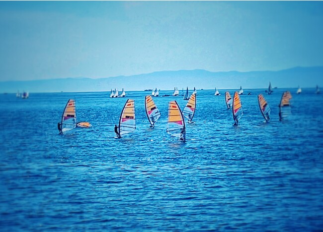 葉山マリーナ 葉山マリーナ