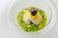 日本の誇る食文化を発信【ザ・キタノホテル東京】Kitano Finds Japan　～発酵 その豊かさを知る＜第2回＞～