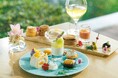 キタノで楽しむ夏のひととき