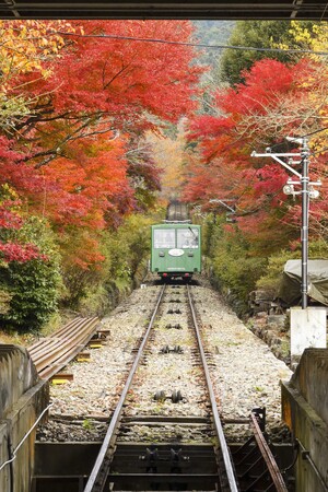 筑波山ケーブルカーと紅葉景色