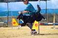【学校法人立志舎】災害救助犬世界チャンピオン 中野汀彩による「特別体験実習」を開催