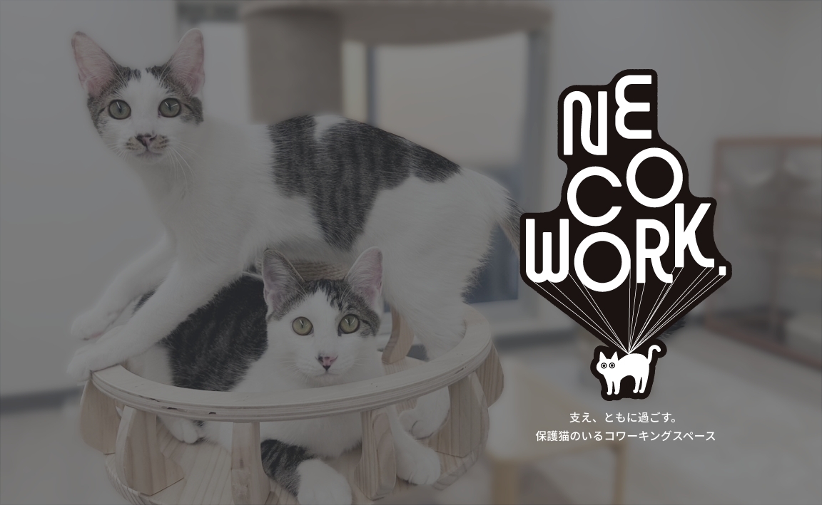 保護猫活動に貢献できるコワーキングスペース「NE COWORK.」が11月1日
