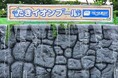 夏スタ!～真夏のクリスマス～ に協賛【たきイオンプール】設置のお知らせ
