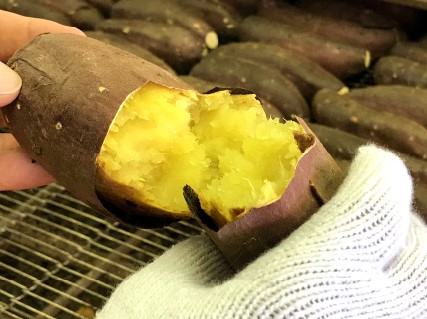 ほくほく甘い茨城県産さつまいも