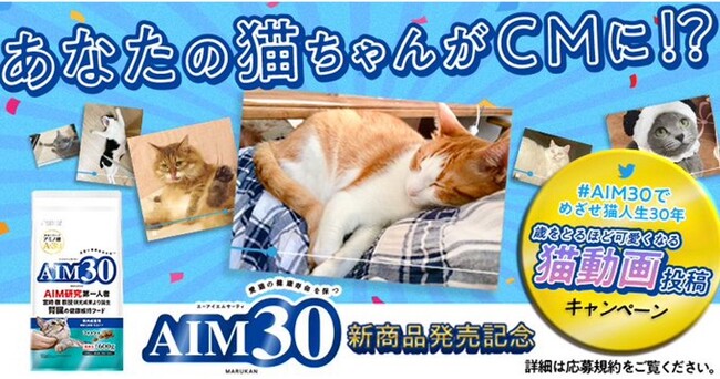 あなたの猫ちゃんがcmに！？歳をとるほど可愛くなる猫動画投稿キャンペーン｜株式会社マルカンのプレスリリース