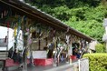 「柏屋のたなばた夕涼み」を開催します