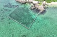 東京海上アセット 自然由来系脱炭素の推進および生物多様性保全に向けた取組み拡大と経済価値向上に向けた検討会を開始