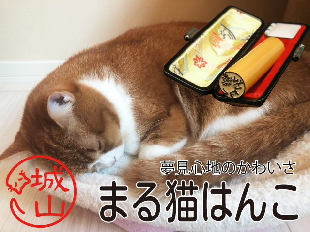 maikyハンコ ひょっこり猫
