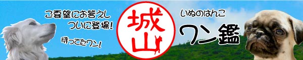 今までにない新たな文字を創造 名前の一部が犬になった印鑑 犬のはんこ ワン鑑 発売 株式会社 城山博文堂のプレスリリース