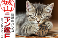 名前の一部が猫顔になった印鑑「ニャン鑑Ｆ」が、新たな素材を追加して、クラウドファンディング[CAMPFIRE]で再度先行割引販売開始