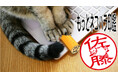 ハンコの常識を覆し、猫が名前の邪魔をする姿を再現した「もっとネコハラ印鑑」5/15より応援購入サービス「Makuake」で先行割引発売