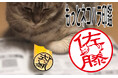 印鑑の常識を覆すことでクラウドファンディングで話題となった「もっとネコハラ印鑑」が9月15日より正式発売開始名前を隠すように箱座りした猫のデザインが20品種に大幅拡充
