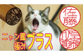 ハンコレスの時代でも人気の究極の猫印鑑がさらに進化！瞳の追加で"猫度"が大幅アップした「ニャン鑑極みプラス」を10月15日よりクラウドファンディングで先行割引発売
