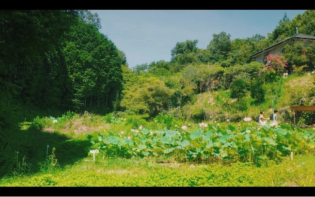 光る校庭 光る校庭