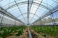 農業プロジェクト「ReFarm by SOLAMENT」本格始動