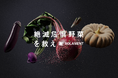 SOLAMENTによる「絶滅危惧野菜を救え」プロジェクト開始