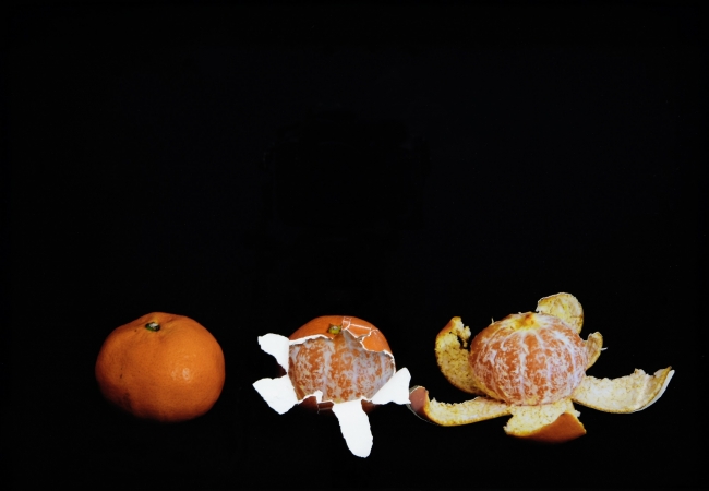 池田衆《Mandarin Oranges #2》(2019)  Courtesy of the artist and Maki Fine Arts