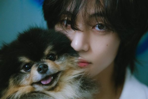 出典：BTS 公式X