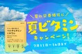 夏の元気を応援!「マルチビタミンミネラル」サプリ期間限定30% オフ!お得なキャンペーンを開催!