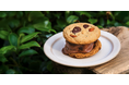 日本発プラントベースアイス「yumrich」とカフェ&ワインバー「Mary Jane」のコラボレーションメニュー「クッキーアイスサンド」が新登場